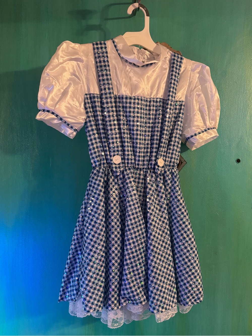 Blue Gingham Fairy Tale Dorothy Wizard of Oz Pinafore Costume Sequin Dress 4-5T